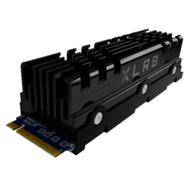 SSD drive PNY CS3040
