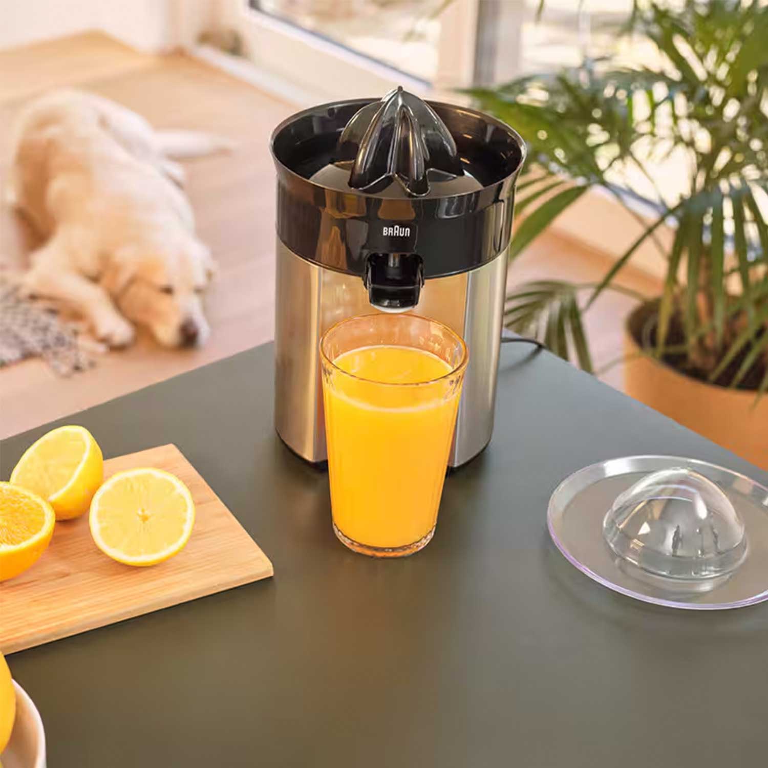 Juicer Braun CJ5050BK — 7