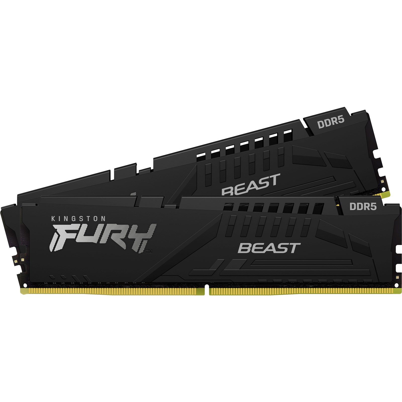 Fury Beast Kit of 2 2x32 DDR5 5600MHz KF556C36BBEK2-64 — 2
