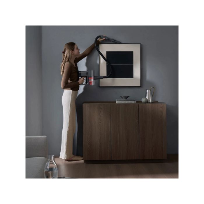 Vacuum Cleaner G20 Max D206 BHR8828EU — 6
