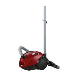 BZGL2A310 dry cleaning type 600 W