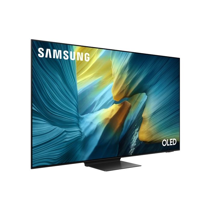 TV QE65S95FAUXRU — 2