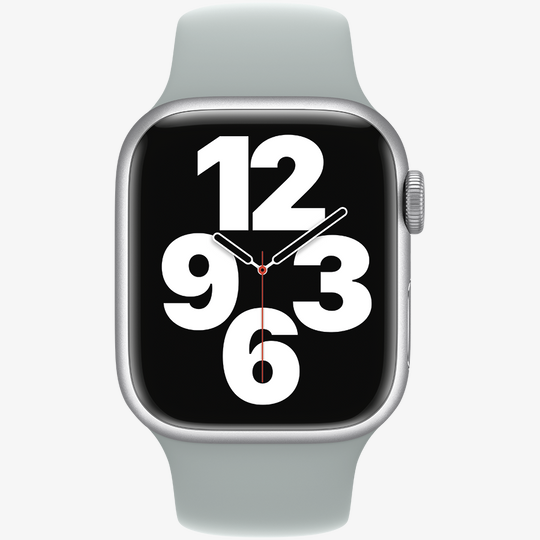 Band 41mm Sport Band Succulent — 3