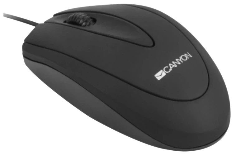 CANYON CNE-CMS1 — 2