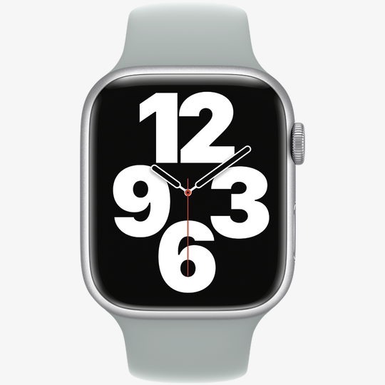 Band 45mm Sport Band Succulent — 3