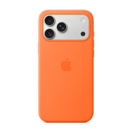 iPhone 17 Pro Max Clear Case with MagSafe — 13