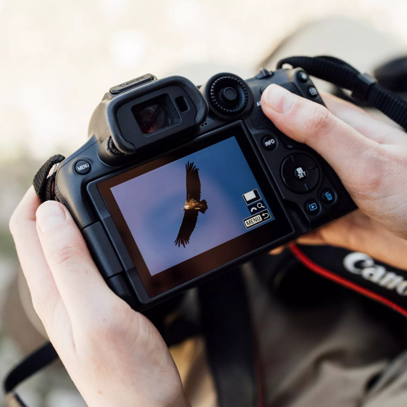 EOS R7 RF-S 18-150 IS STM — 7