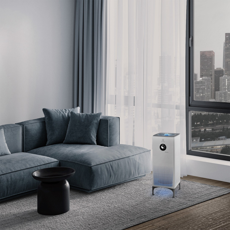Air purifiers ELECTROLUX EAP-2075D YIN &YANG — 8