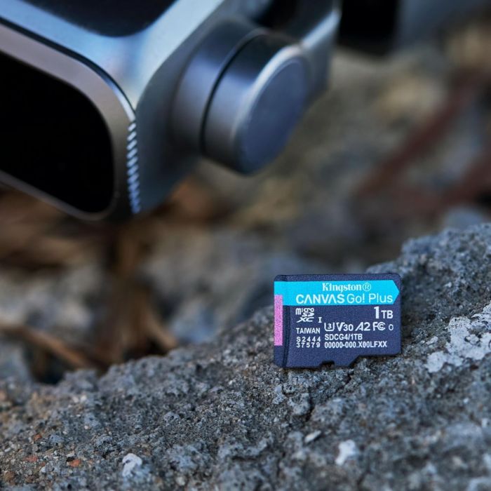 Canvas Go Plus microSD memory card SDCG4 — 4