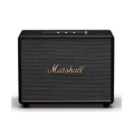 Speaker Woburn III