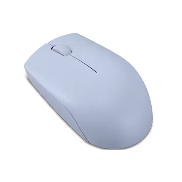 300 Wireless Compact Mouse with battery GY51L15679 — 3
