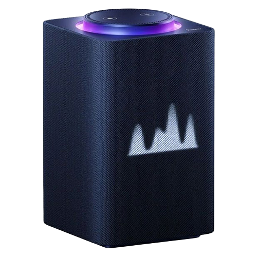 Yandex Station 0008 remote control — 2