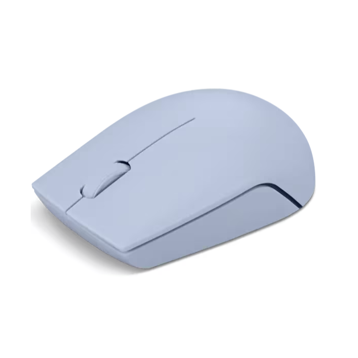 300 Wireless Compact Mouse with battery GY51L15679 — 5