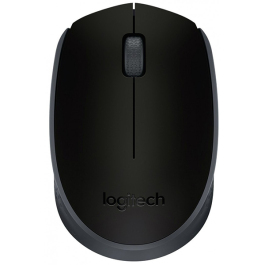 PC mouse M171