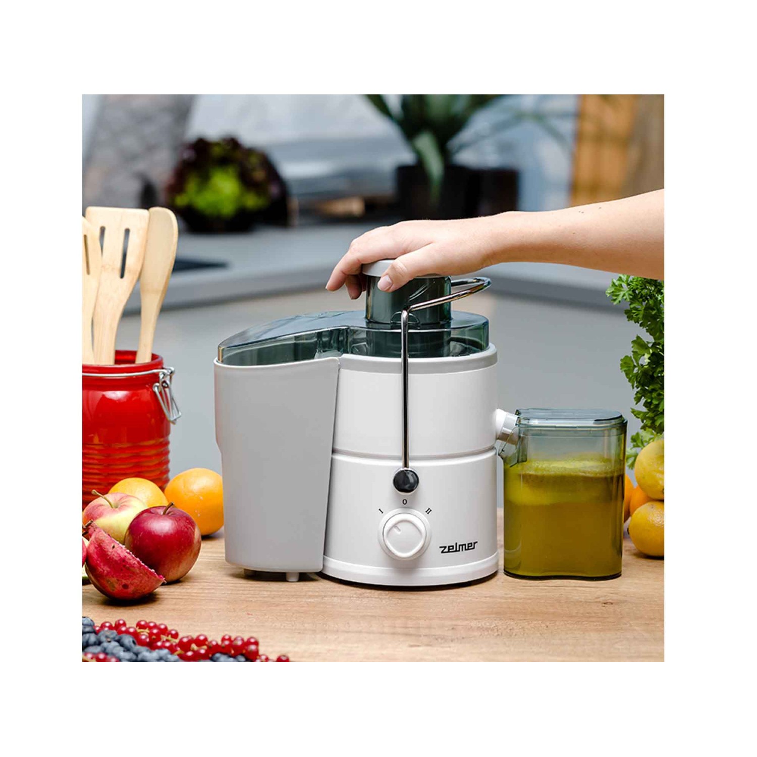 Juicer Zelmer ZJE3800 — 5