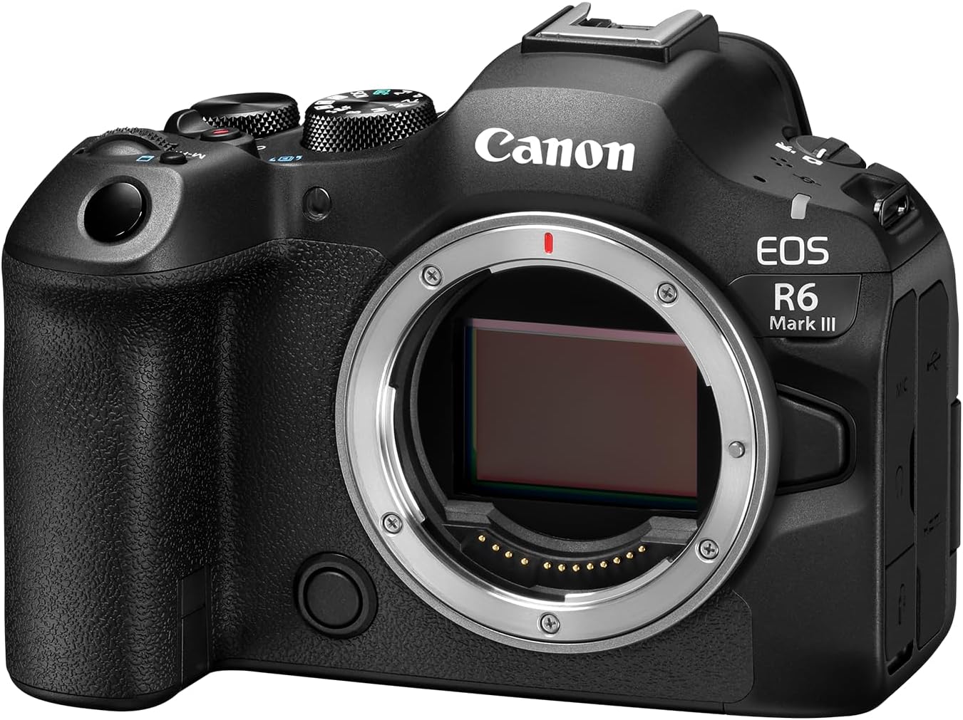 EOS R6 Mark III Body — 2