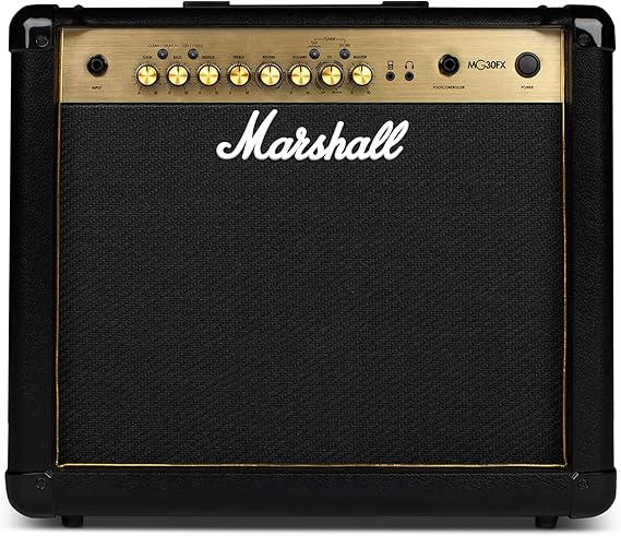 30W and Prog Guitar Combo With Reverb And Digital Effects MG30GFX
