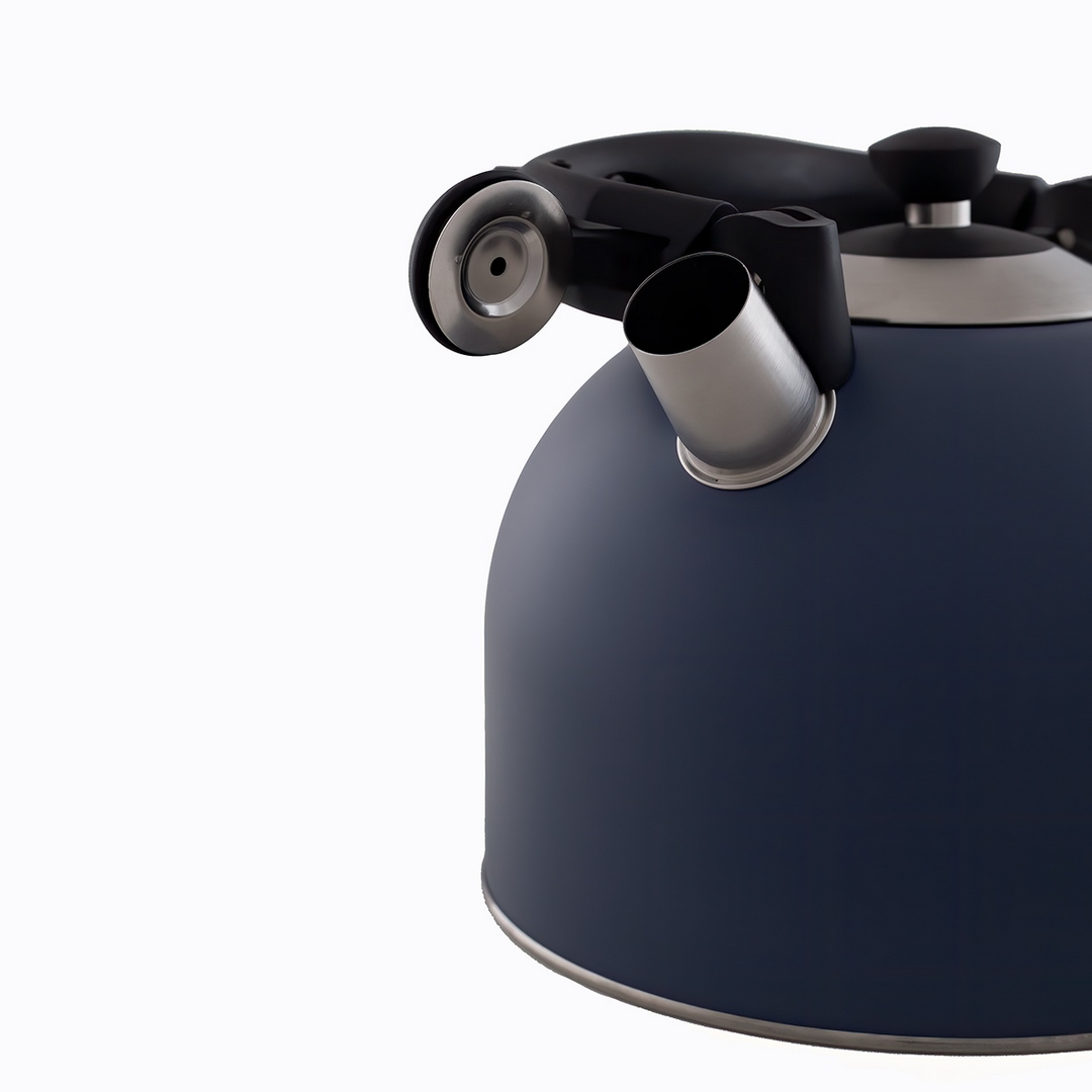 Lara LR00-79 Whistling kettle induction, with folding handle 4.5L