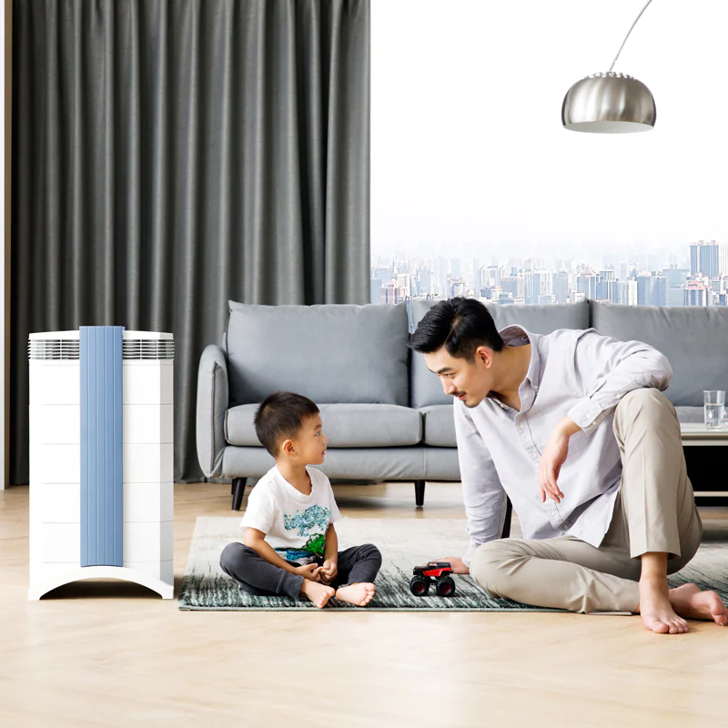 Очиститель воздуха IQAir GC MultiGas XE 124 AS 12 05 — 4