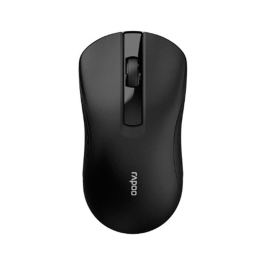Wireless Optical Silent Mouse B20