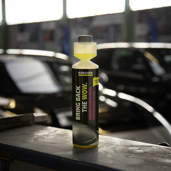 Windshield washer fluid Karcher RM 672 — 2