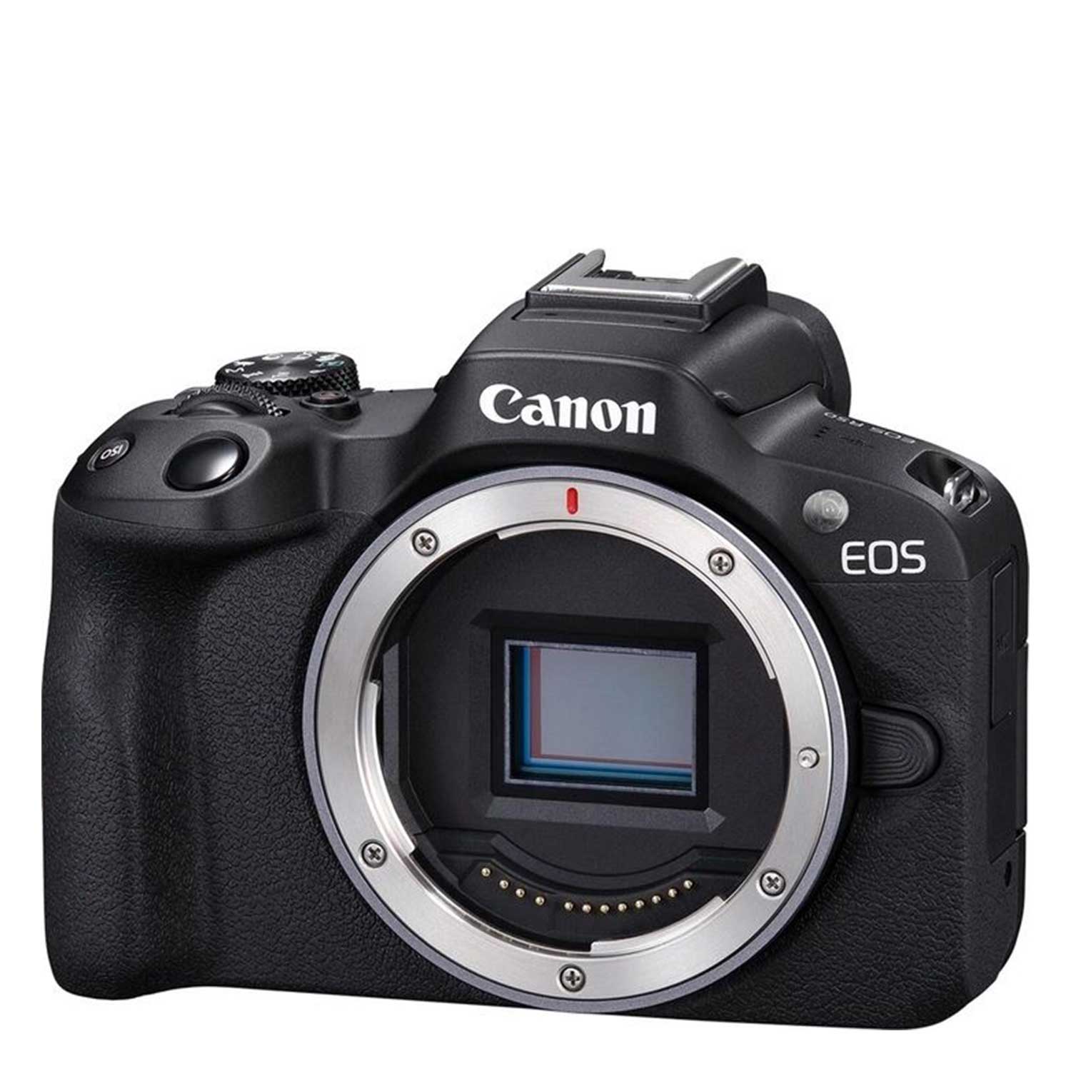 Digital photo camera EOS R50 RF-S 18-45 IS STM — 4