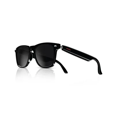 Lion Paris 2 Smart Glass