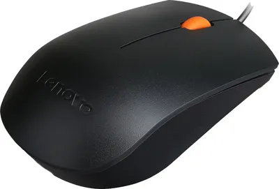 Keyboard and mouse Lenovo 300 GX30M39635 USB Cord