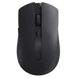 Mouse Rapoo 0107T-01