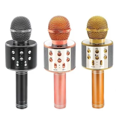 Microphone WS-858