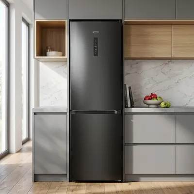 Refrigerator GORENJE NRK619FABK4