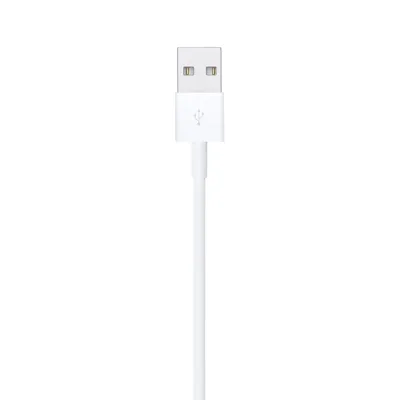 Cable Apple Lightning to USB-A Cable