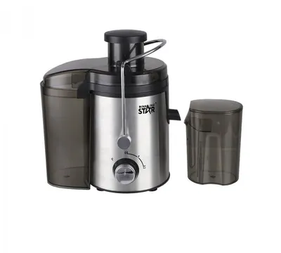 Electric juicer Winning Star ST-5546-L