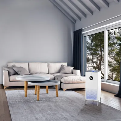 Air purifiers ELECTROLUX EAP-2075D YIN &YANG