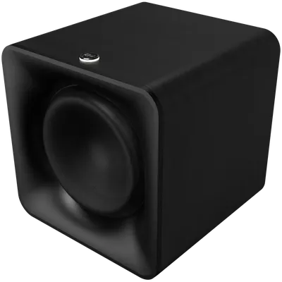Flexus SUB 100 10-inch Subwoofer