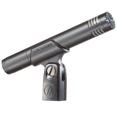 Condenser microphone Audio-Technica AT2031 Condenser Microphone