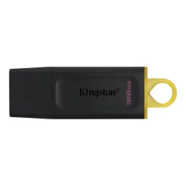 Flash drive Kingston DTX