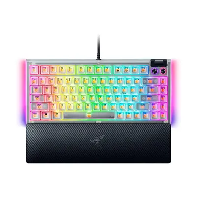 BlackWidow V4 75%