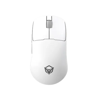 Ergonomic Gaming Mouse GW40