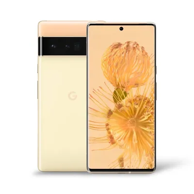 Pixel 6 Pro