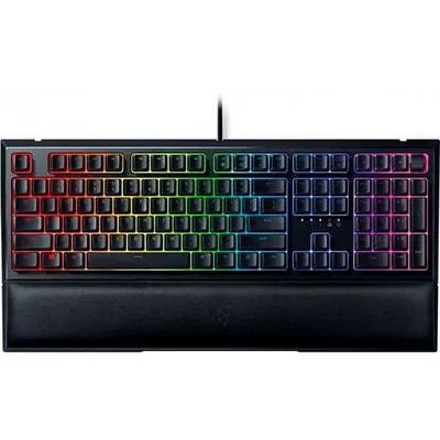 Ornata V2