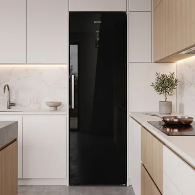 Freezer Gorenje FN619EABK6