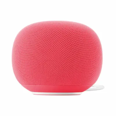 Home Speaker with Gemini Berry