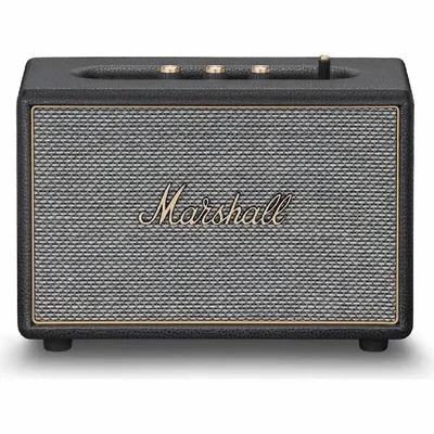 Speaker Marshall Acton IV