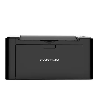 Printer PANTUM P2507 BK