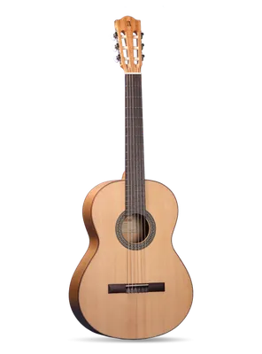 Alhambra 2F Flamenco guitar