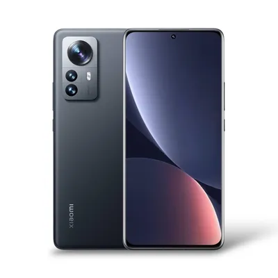 12 Pro