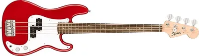 Squier Mini P Bass LRL WPG DKR