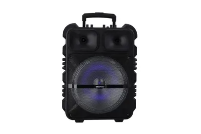 Speaker Geepas GMS11190