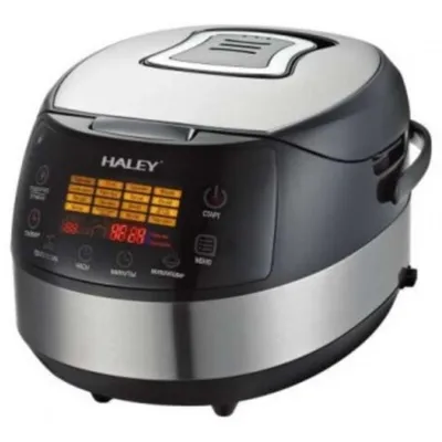 HALEY HY-2210 Multicooker devices